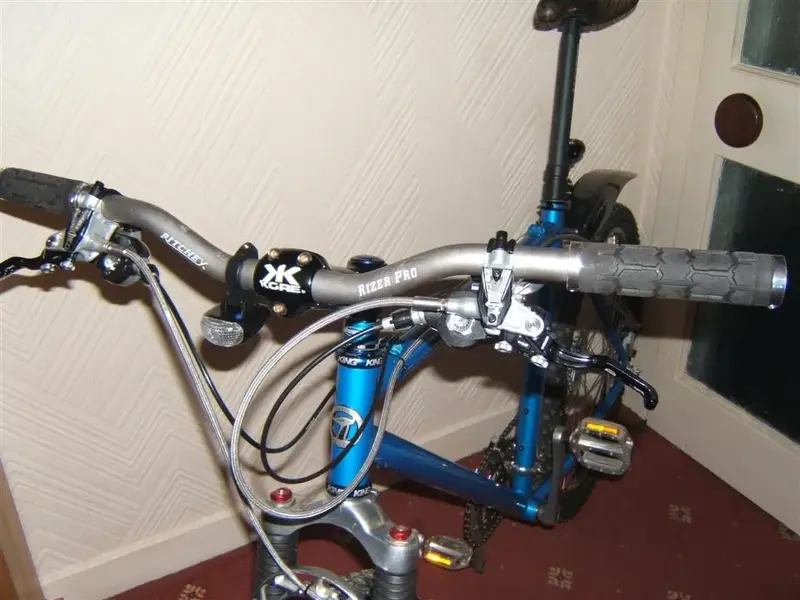 Dyna's sale 20 12 09 063 (Large).webp