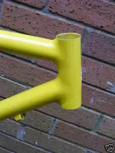yellow.webp