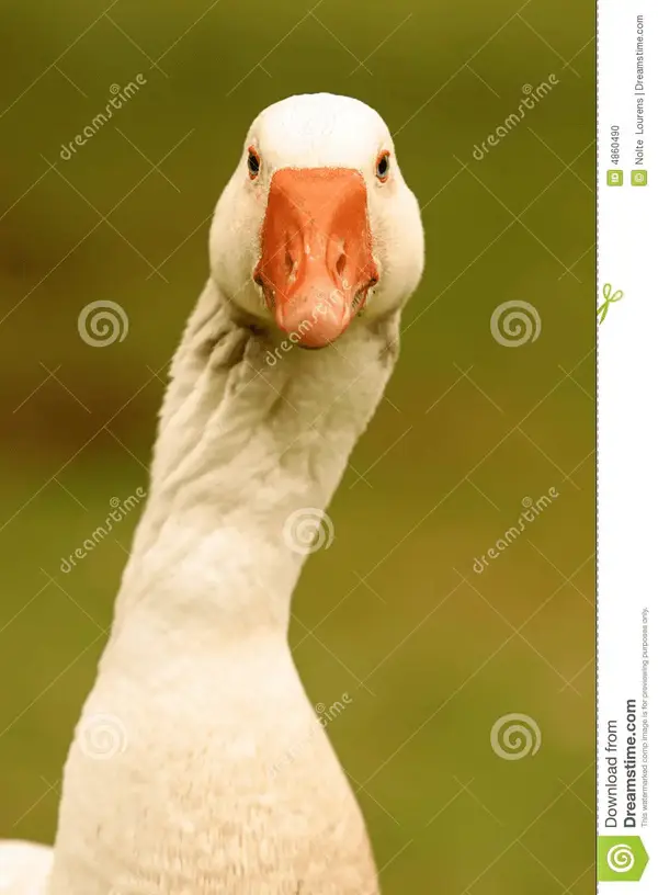 1656761159738.webp