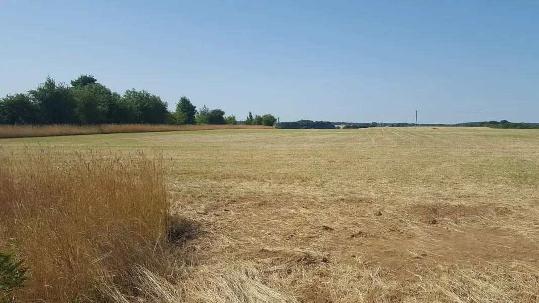 20220718_101559.webp