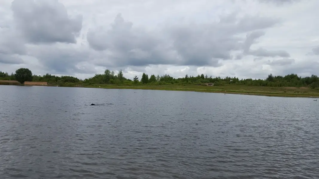 20220523_100007.webp