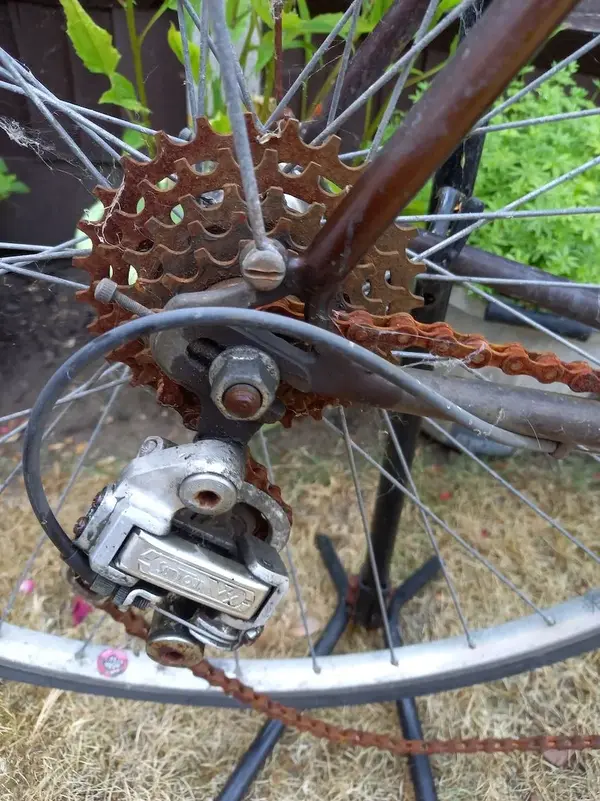 Cassette.webp