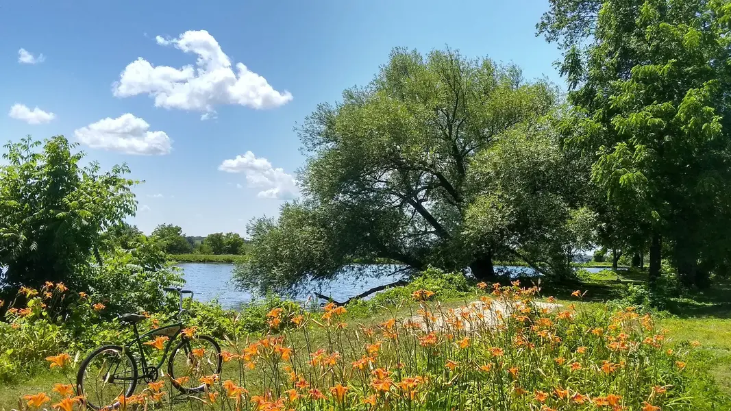 IMG_20220715_131615079_HDR.webp