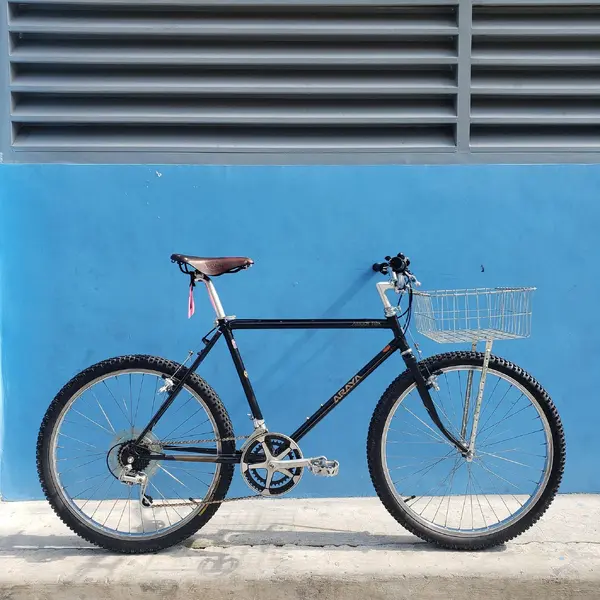 Araya Muddy Fox MF26-I SPR | Page 3 | Retrobike
