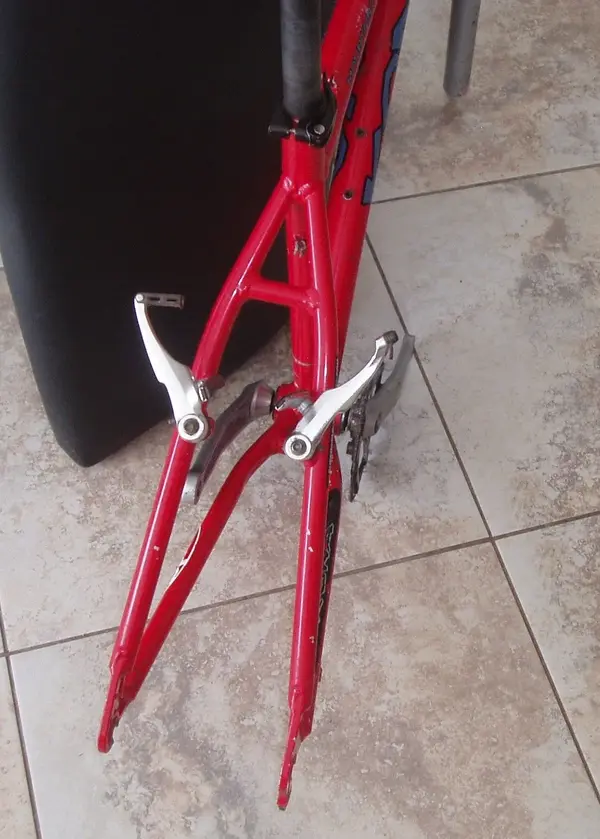 P1010026 (1).webp