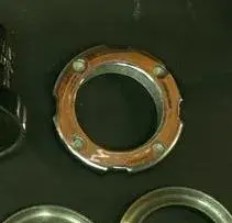 topnut2.jpg