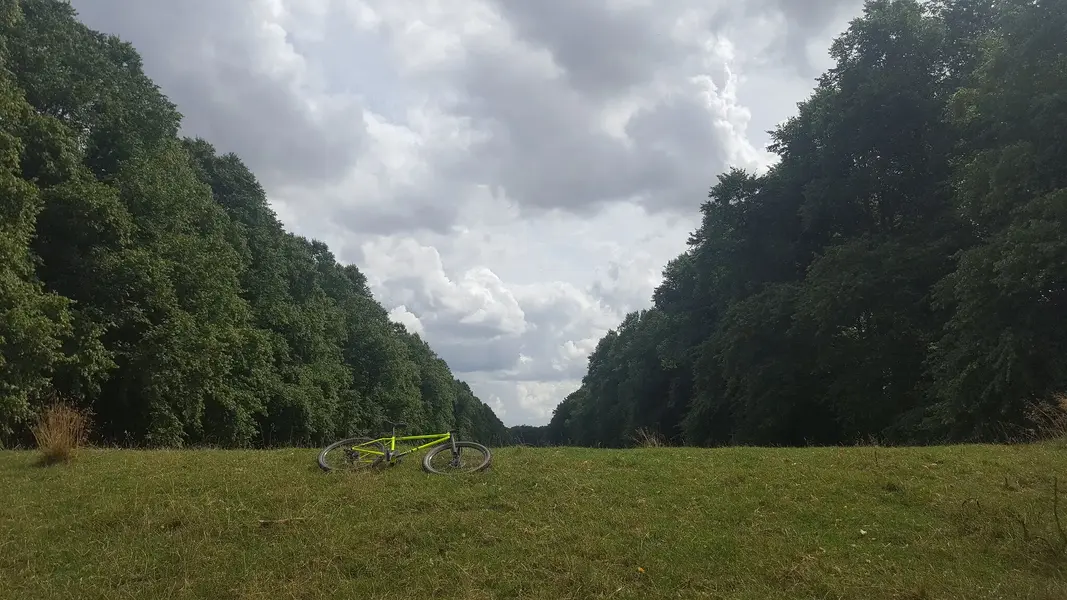 20220727_114111.webp