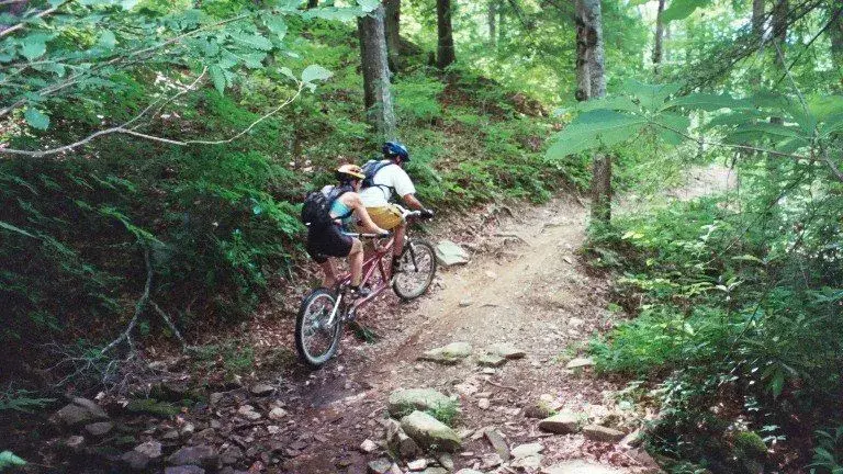 TANDEM3.webp