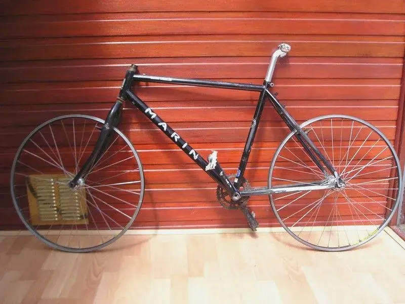 marin BV.webp