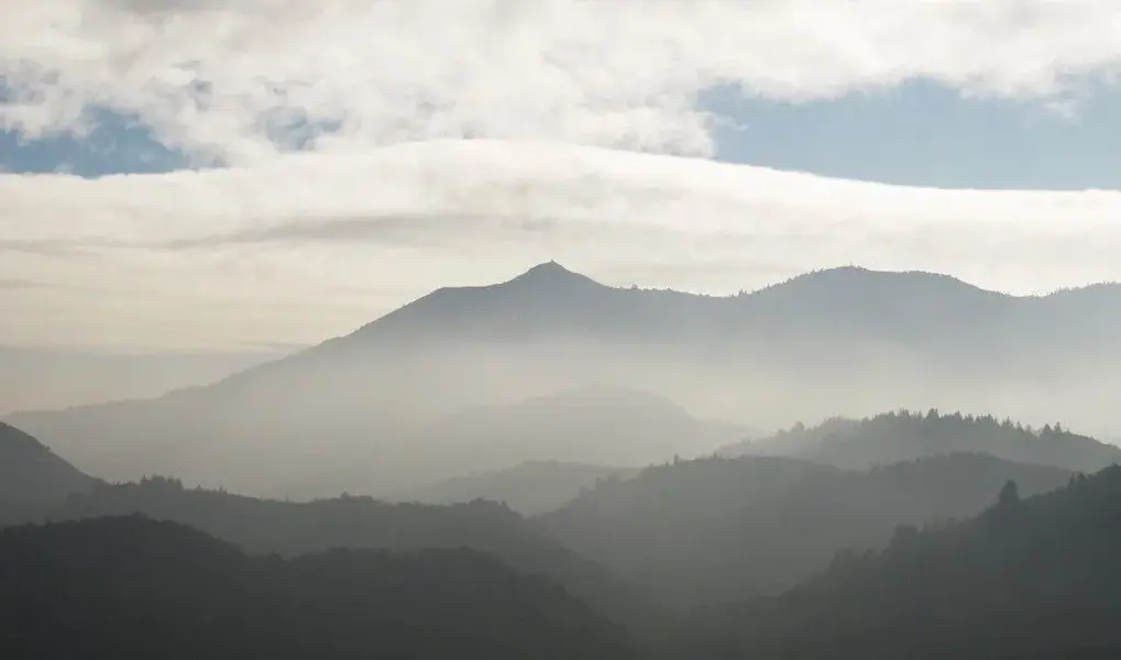 tam_with_fog.webp