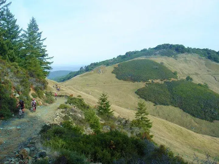 Up Pine Mtn..webp