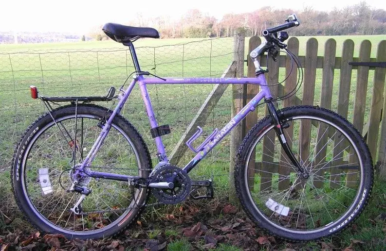 Saracen1_small.webp