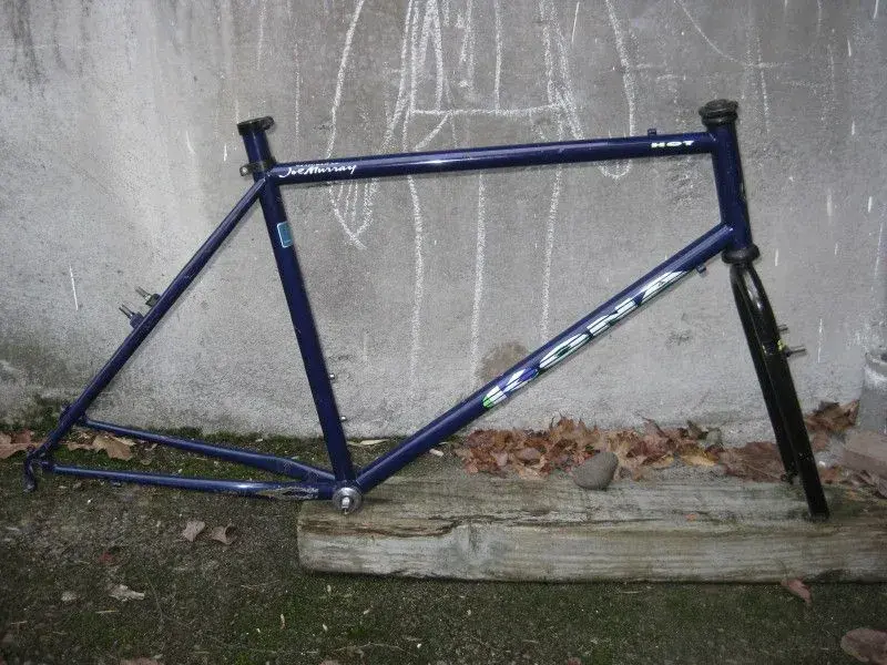 kona5_1.webp