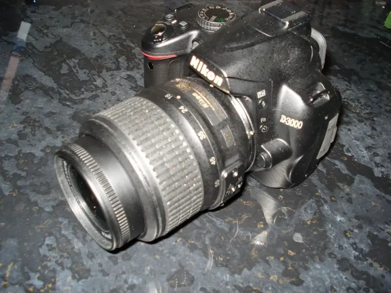 D3000.webp