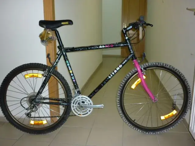 lya1.webp