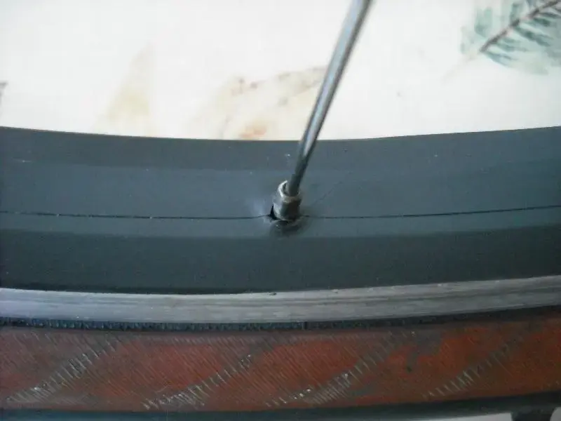trimmed eyelet (Medium).webp