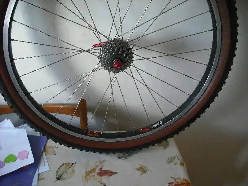 black rim (Medium).webp