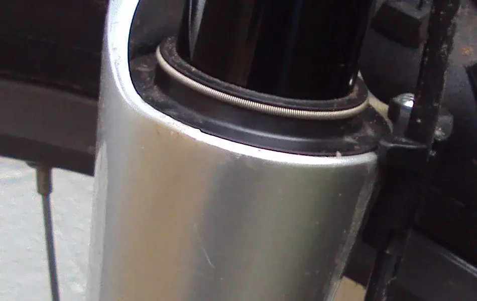 DSC04985.webp
