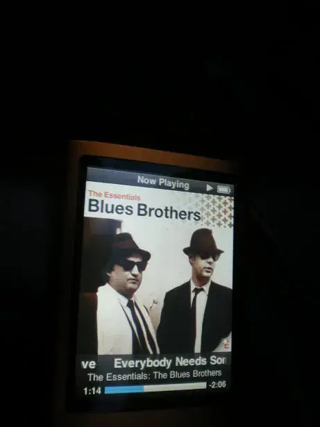 jake and elwood on the way home!.webp
