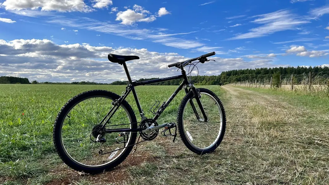 Raleigh kalahari mountain bike deals
