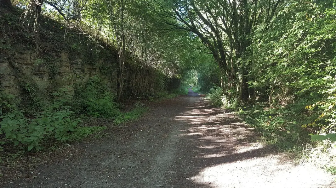 20220811_083555.jpg