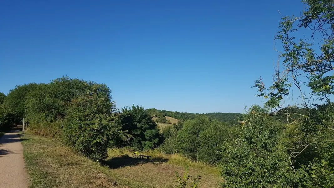 20220811_084320.jpg