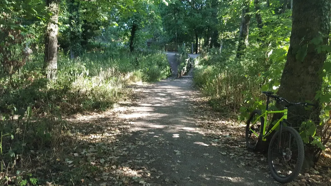 20220811_085934.jpg