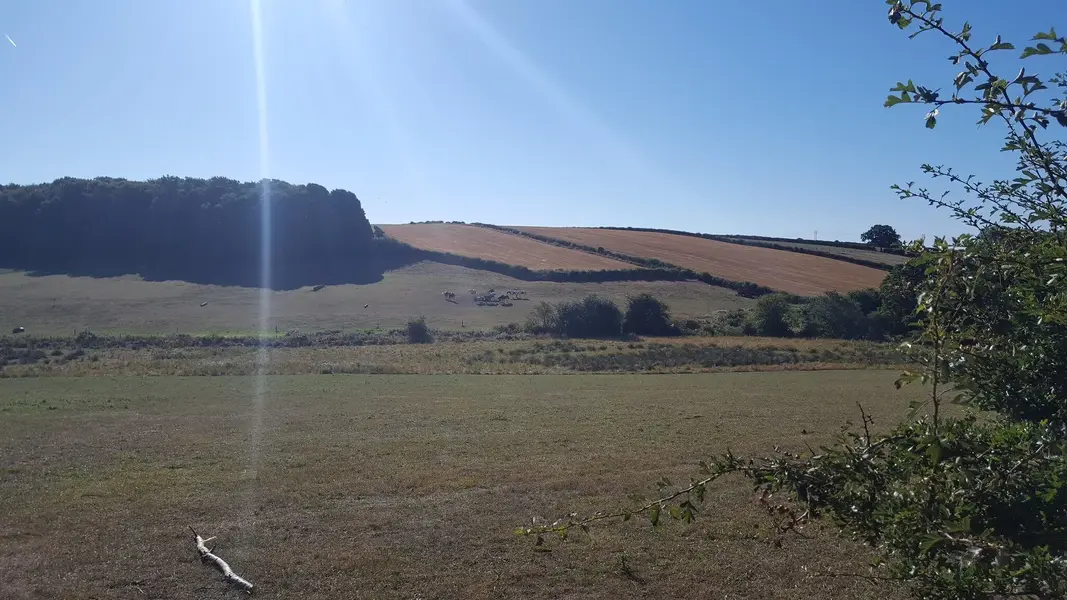 20220811_090801.jpg
