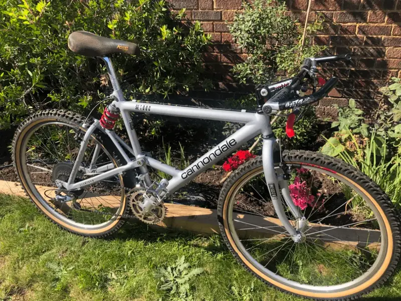 Cannondale7.webp