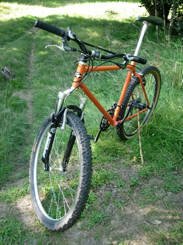 Graeme Tutin 04.webp