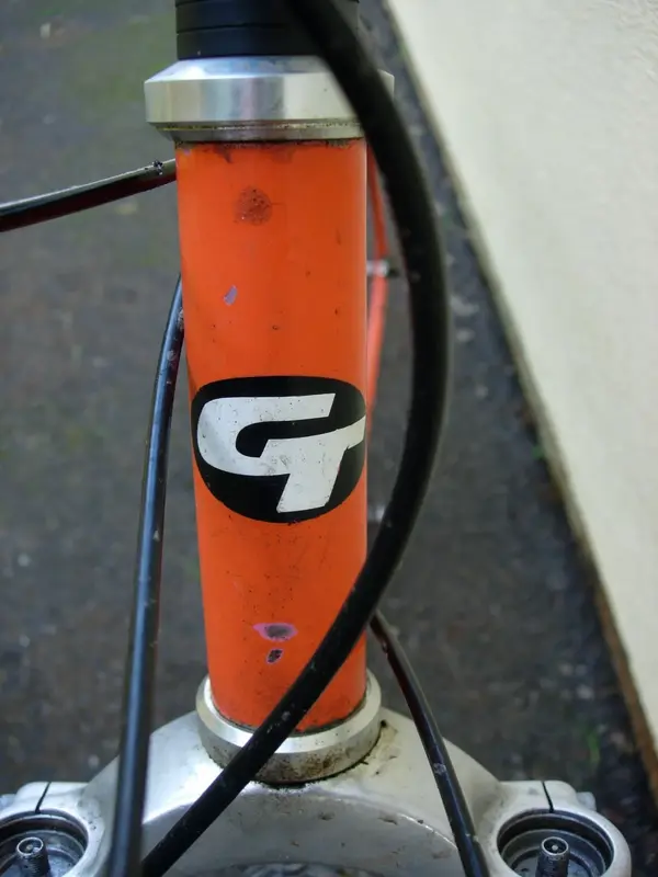 Graeme Tutin 10.webp
