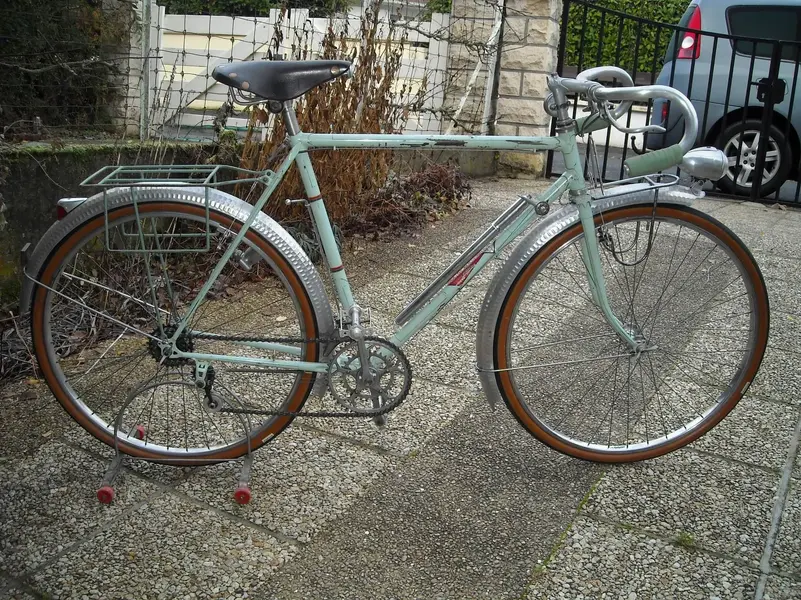 Goeland01.webp