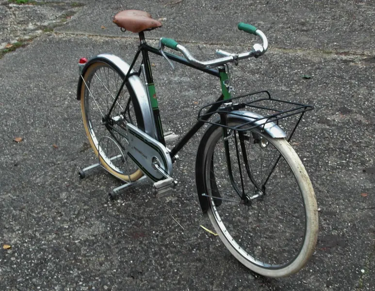 1955mn1.webp
