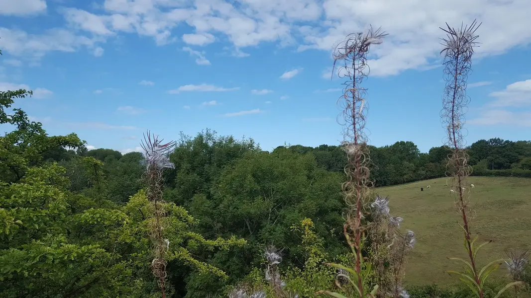 20220826_104931.webp