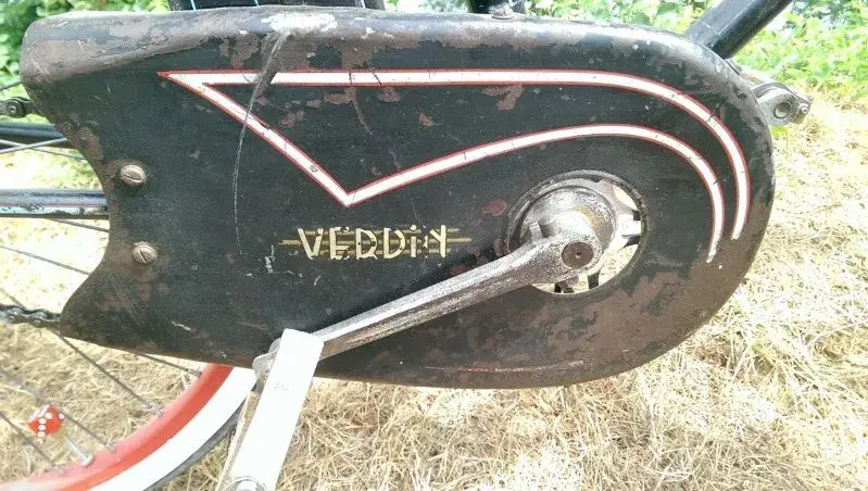 Verdin5.webp