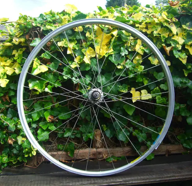 217 rear blown-out rim.webp