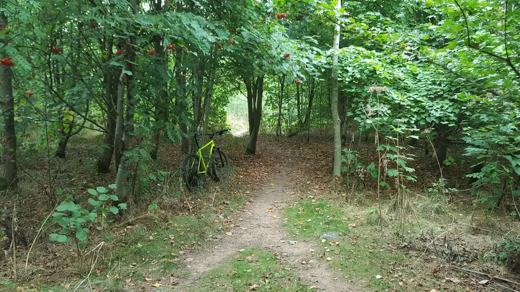 20220903_100427.jpg
