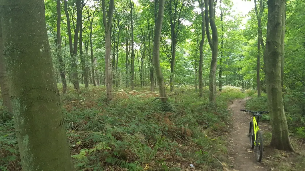 20220903_101103.jpg