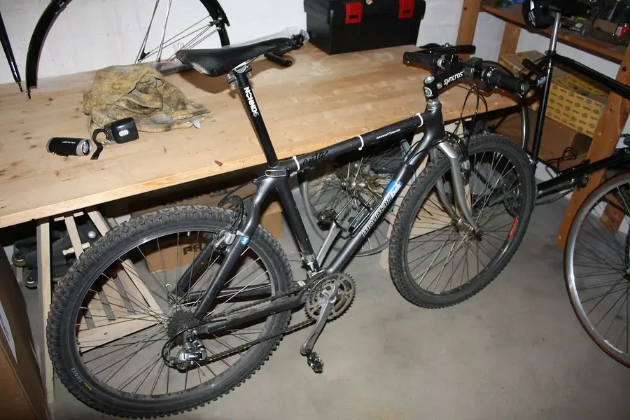 8 synlos' 1992 mountain Bik Carbon.jpg