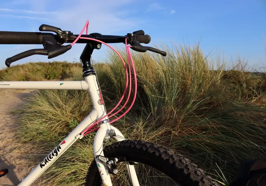 Raleigh mirage Marazion 010922.4~2.webp