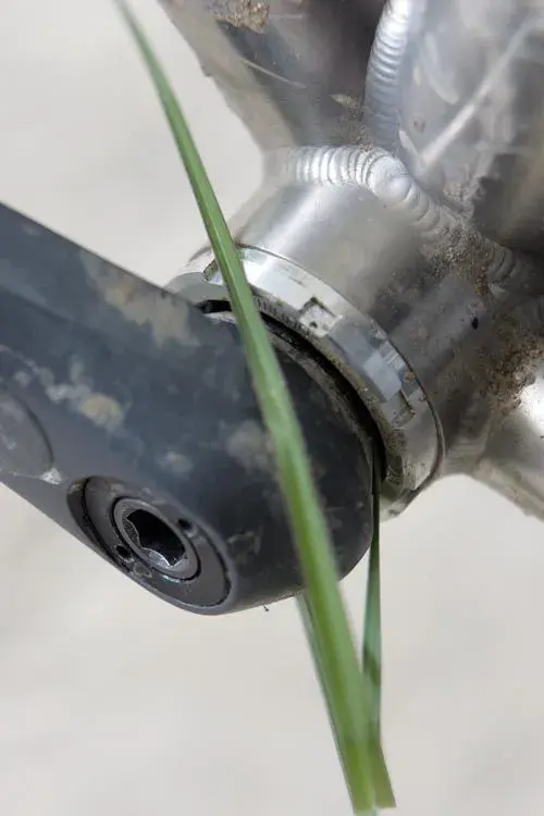 grass.webp