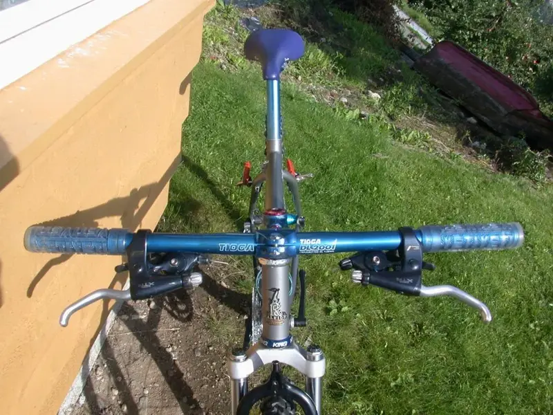 raleigh 3.webp