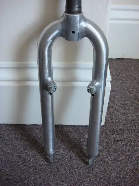 pbones (1).webp