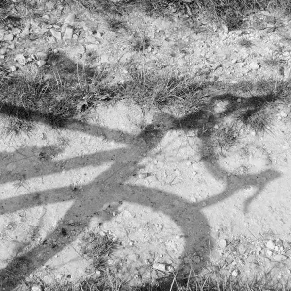 shadow.webp