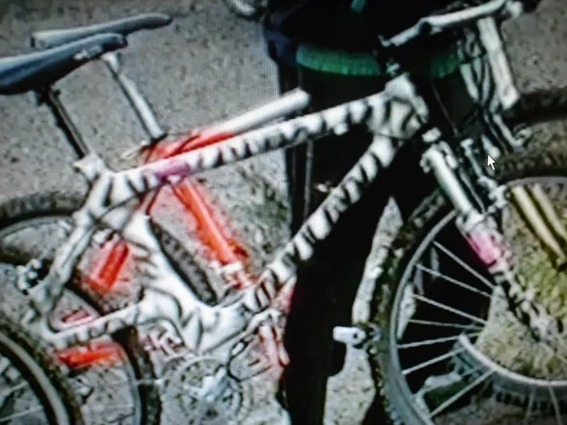 df 003.webp
