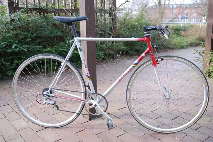 gazelle cross.webp
