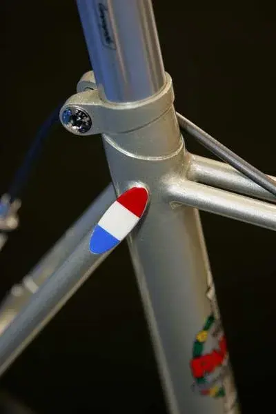 tricolor.webp