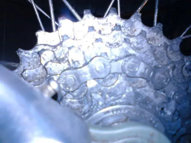 DSC00005.webp