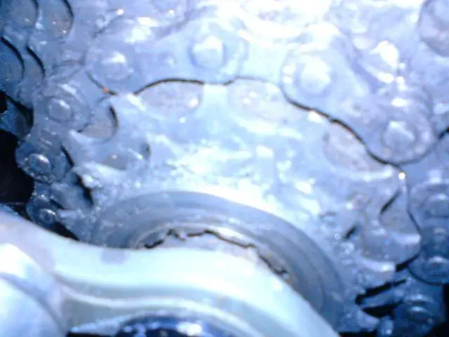 DSC00001.webp