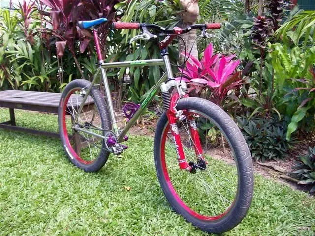 1990 Litespeed (Small).webp
